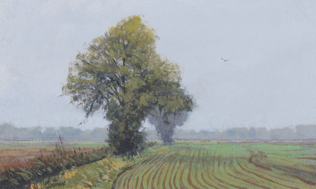 Fenland painting - Fenland Field by Nick Tearle