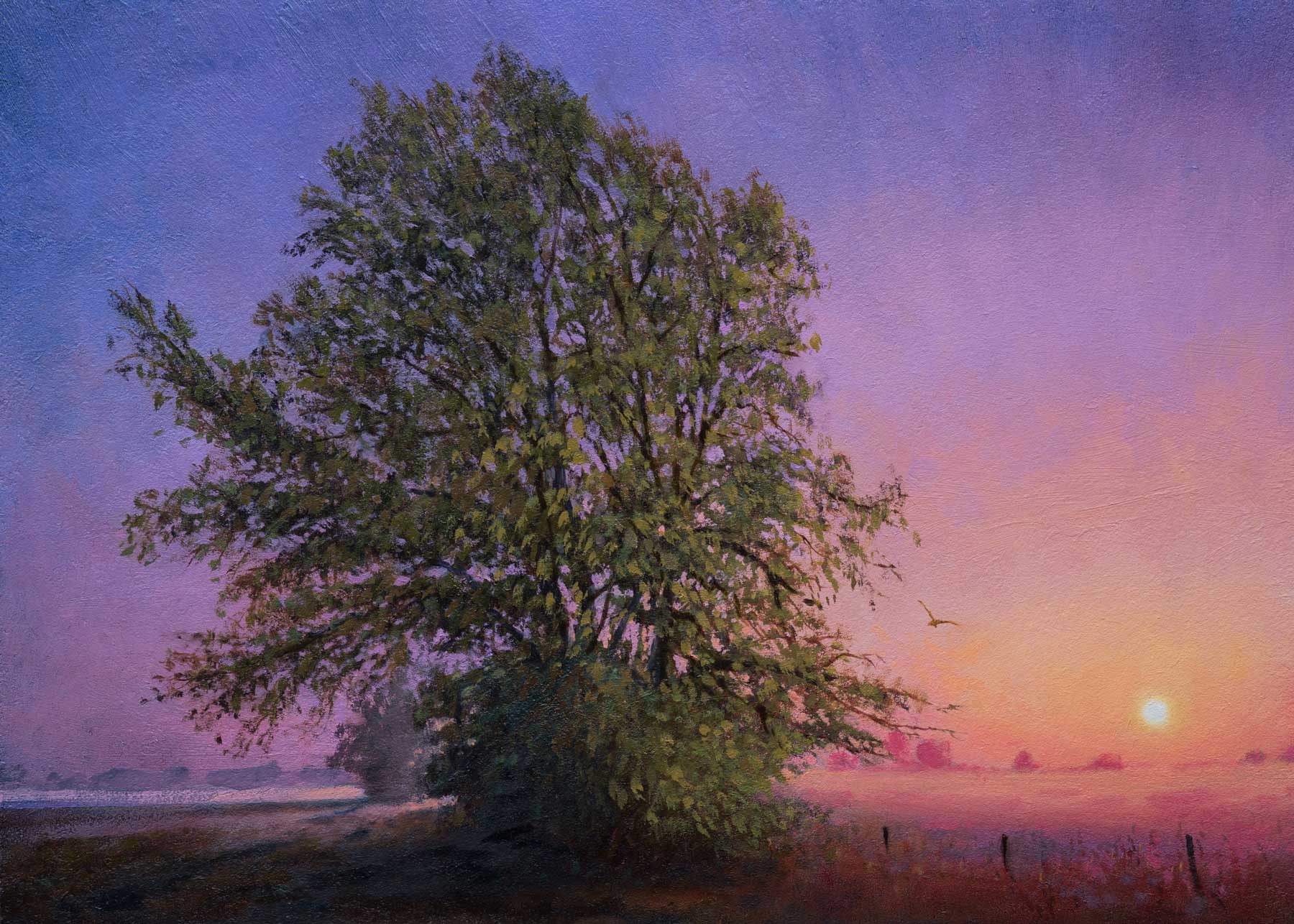 Fenland Sunrise - Oil Painting by Nick Tearle Fenland Artist