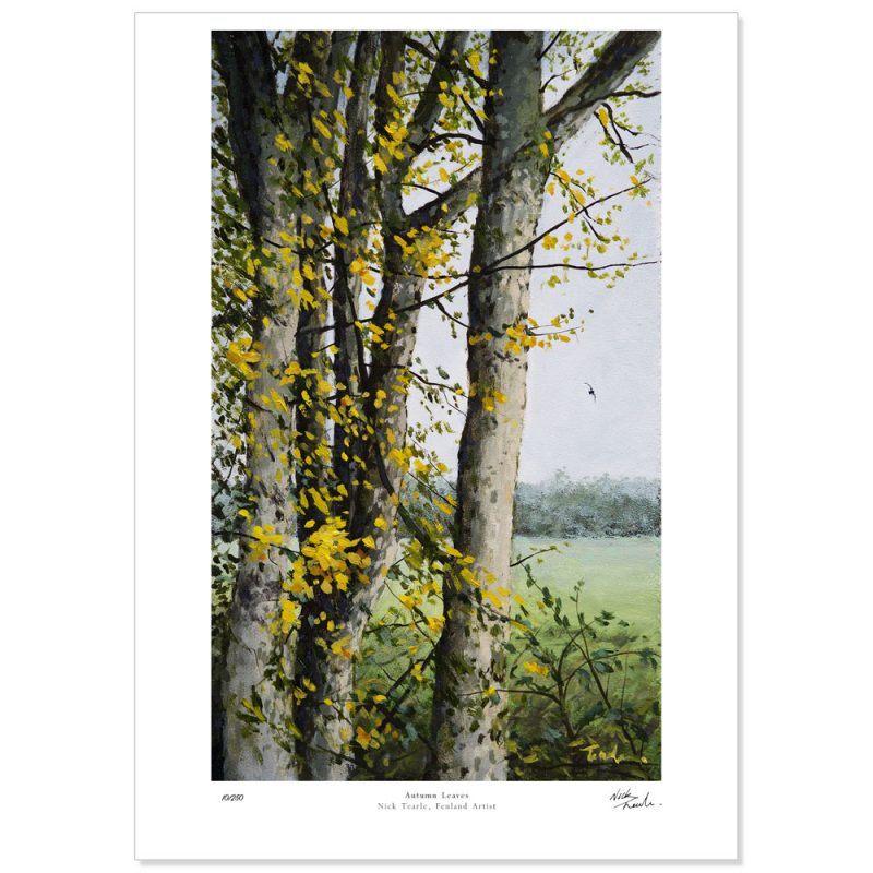 Autumn-Leaves-Limited-Edition-Print-Nick-Tearle-Fenland-Artist