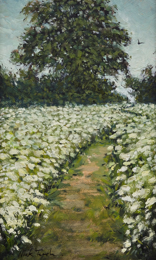 Cow Parsley and Sycamore - Oil Painting by Nick Tearle Fenland Artist
