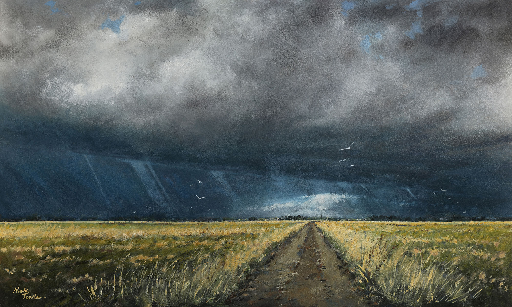 Rays of Hope 2024 24x14' - Nick Tearle Fenland Artist